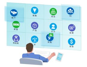 8manage企業(yè)管理軟件 通用型與定制開發(fā)的選擇之道